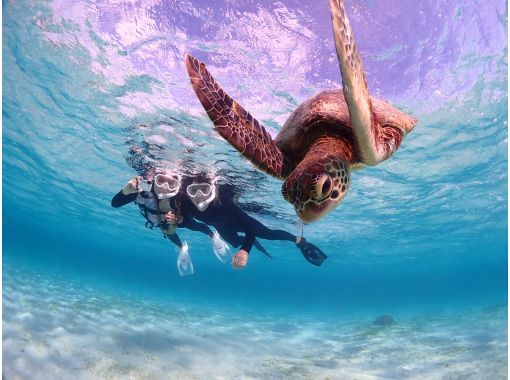 Miyakojima <Photographed with a high-performance camera> Enjoy without worrying! Private sea turtle snorkeling! ☆ Photo data gift (Reservations accepted until 12:00 on the day)の画像