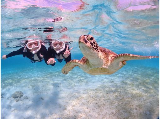 [Miyakojima] [Fully reserved] [Photographed with high-performance cameras] Enjoy without worrying! 100% encounter rate continues! Sea turtle snorkeling! ★ Reservations on the day are OK!の画像