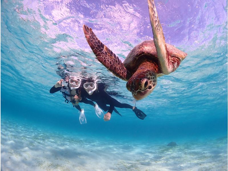 [Miyakojima] Private sea turtle snorkel with Photo gift ★ Beginners welcome
