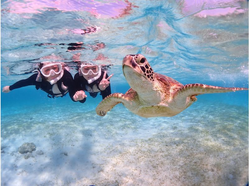 [Miyakojima] [Fully reserved] [Photographed with high-performance cameras] Enjoy without worrying! 100% encounter rate continues! Sea turtle snorkeling! ★ Reservations on the day are OK!の紹介画像