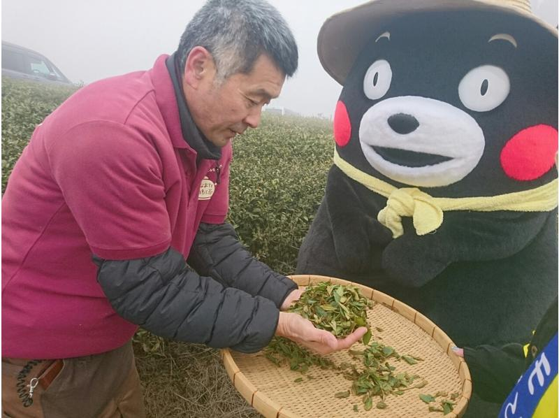 【北海道・SUP体験】透明度の高い支笏湖の湖面をクルージング！SUP体験（半日コース）の画像