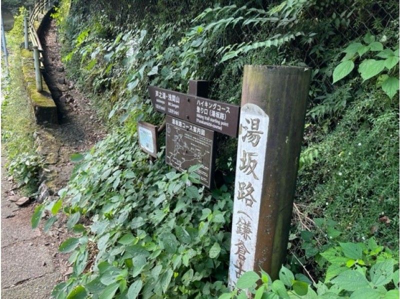 [神奈川/箱根]在歷史悠久的道路“箱根湯坂路（鎌倉古道）”上徒步旅行，並提供攀岩課程！の紹介画像
