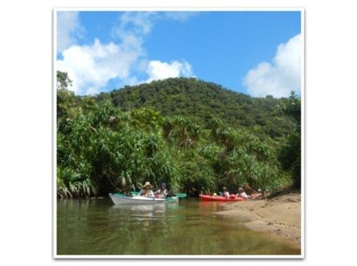 [Okinawa / Iriomote Island] Full-scale jungle sea kayaking and clear stream playの画像