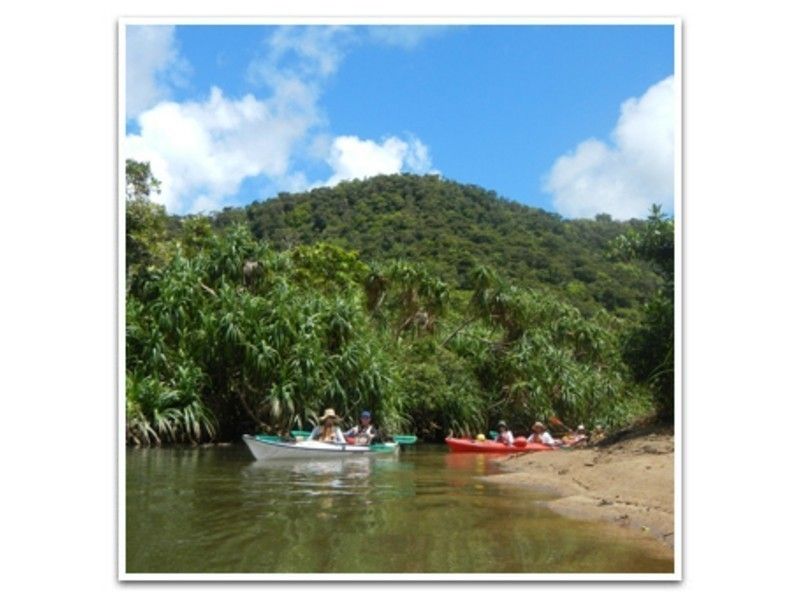 [โอกินาว่า・ เกาะอิริโอะโมะเตะ] ป่าที่เต็มไปด้วยความสนุกสนานพายเรือคายัก(Sea Kayaking)& ล้างการเล่นสตรีม ~の紹介画像