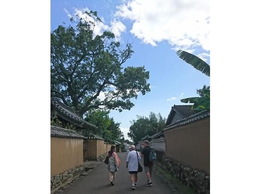 [Oita/ Kitsuki] Stroll through the castle town Kitsuki with an English-speaking guideの画像