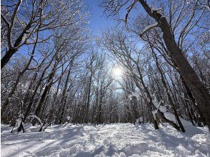 [Snowshoe trekking in Hokkaido, Sapporo] Pick-up and drop-off available - A powdery snow forest where snow fairies such as the long-tailed tit and the Hokkaido squirrel lurk, or a snowy hill overlooking one of Japan's three great night views, the "glittering jewel box"