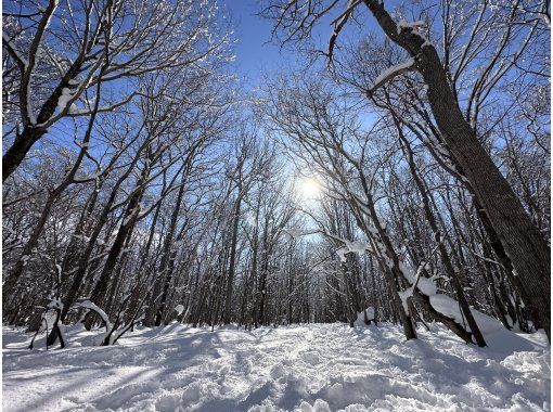 [北海道/札幌雪鞋] 雪精靈、長尾蛾和蝦夷松鼠隱藏的粉雪森林，或俯瞰日本三大夜景的雪山“閃閃發光的珠寶盒”の画像