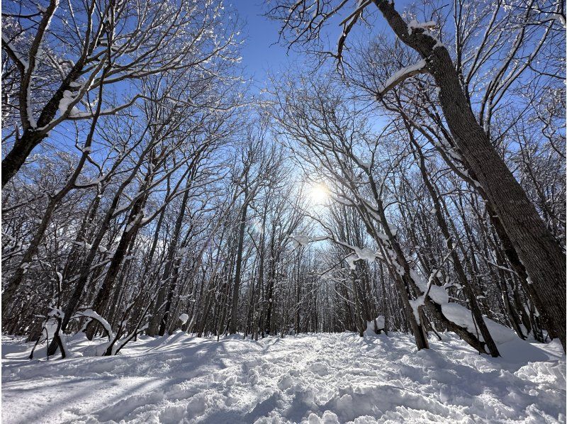 【北海道/札幌雪鞋健行】提供接送服務 - 潛伏著長尾山雀、蝦夷松鼠等雪精靈的粉雪森林，或是俯瞰日本三大夜景的雪山“閃閃發光的珠寶盒”の紹介画像