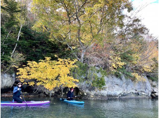 【松島湾＆紅葉サップ】秋はSUPのベストシーズン！松島湾の紅葉をサップで海さんぽ＼(=^ェ^=)／お写真プレゼントの画像