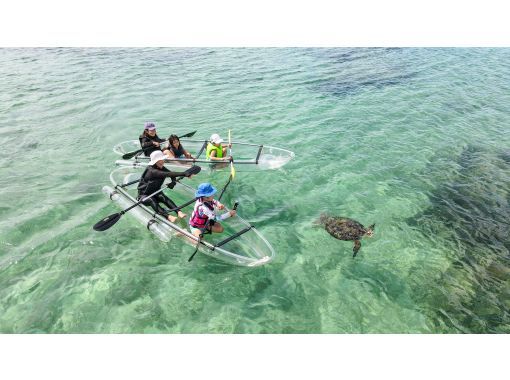 Drone photography included!! A real aquarium that even 0-year-olds can enjoy ★ Clear Kayak Tourの画像
