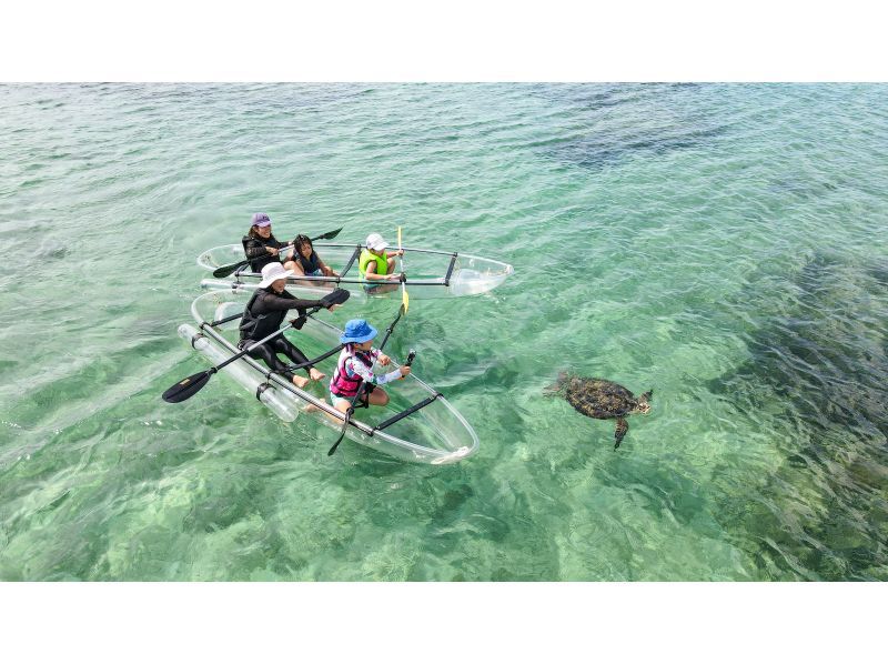 ドローン撮影付き!!  0歳のお子様も楽しめるリアル水族館★クリアカヤックツアーの紹介画像