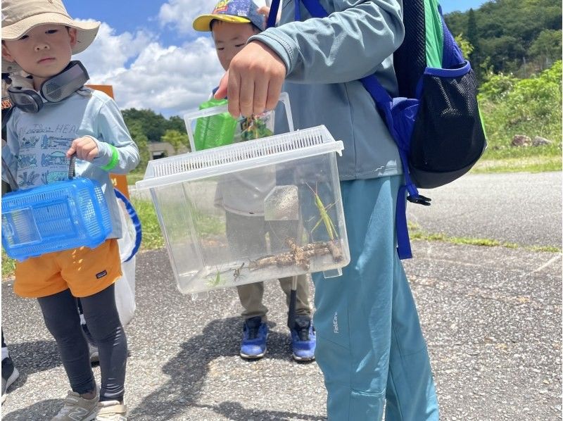 [Hyogo/Tamba Sasayama]★October★Popular plan is back! Let's observe the autumn forest with Dr. Insect! Fun for parents and children!の紹介画像