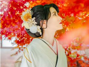 [Kansai/Osaka, Kyoto, Nara, Hyogo] Experience the beauty of autumn leaves in the colorful Kansai region! (1-day kimono rental, hair styling included)