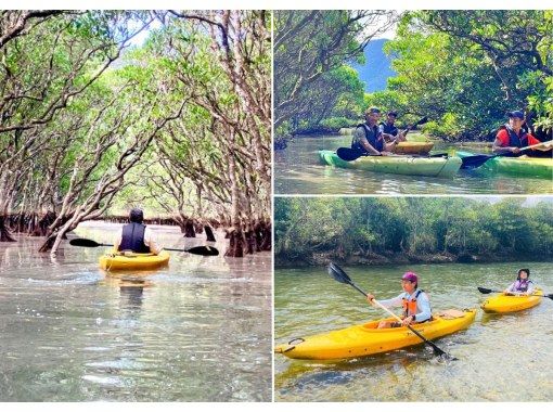 100-minute mangrove canoe tour on Amami Oshima! A private tour through the mangrove tunnels at high tide! Private tour for the whole family!の画像