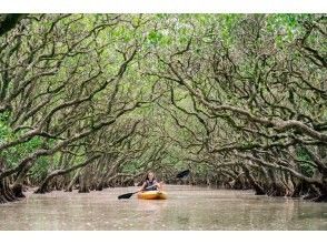 株式会社リンクアドベンチャーズ