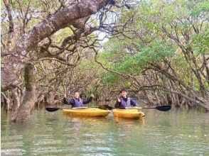 【冬でも楽しい！】秘境マングローブのトンネルを1組プライベート案内！奄美大島満潮マングローブカヌーツアー！手ぶら参加｜初心者歓迎｜家族歓迎