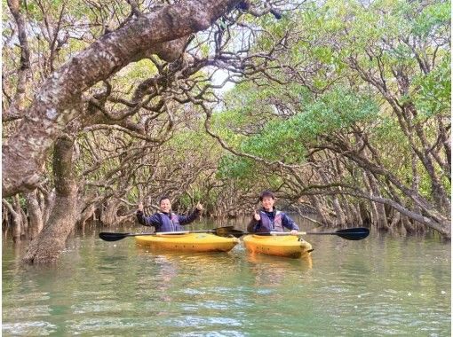 【冬でも楽しい！】秘境マングローブのトンネルを1組プライベート案内！奄美大島満潮マングローブカヌーツアー！手ぶら参加｜初心者歓迎｜家族歓迎の画像