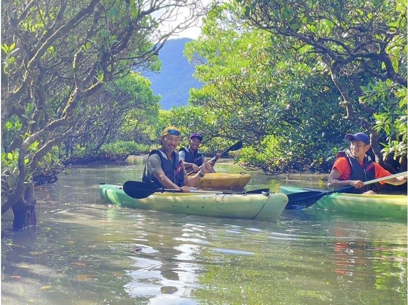  [Amami Oshima] Early morning mangrove kayaking tour (120 minutes) | Island-wide transfers | Breakfast included | Certified guides guide youの紹介画像