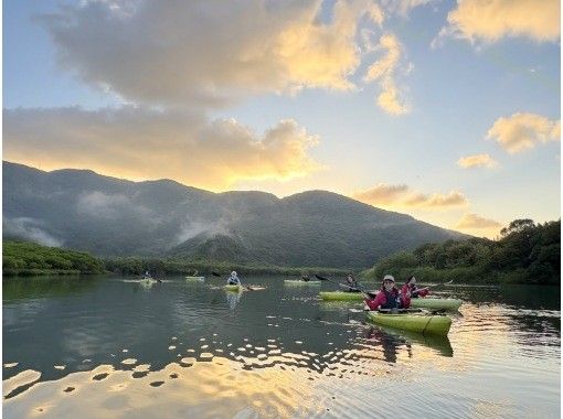 カヌーの上で朝食付き! 早朝の奄美大島マングローブカヌーツアー （120分）｜認定ガイドがご案内の画像