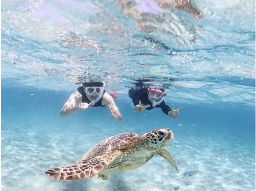 [Miyakojima Sea Turtle Snorkeling] 《☆Winter and rainy days welcome!》 Same-day reservations accepted! ☆ Swimming lessons included for peace of mind! Rentals and photos are free!の画像