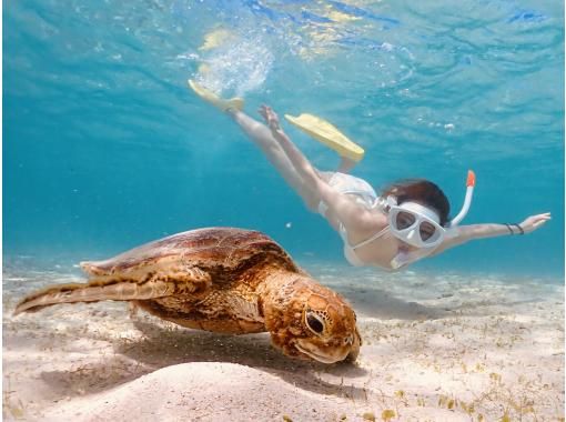 【宮古島】冬でも雨でも大歓声◎ウミガメシュノーケル★写真データ無料＆レンタル完備《泳ぎが苦手でも安心のレクチャー付》当日予約OK！の画像