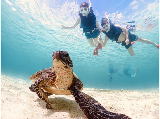 [มิยาโกจิมะ] สนุกสนานแม้ในฤดูหนาวและฝนตก ◎ ดำน้ำดูเต่าทะเล ★ บริการข้อมูลภาพถ่ายและให้เช่าอุปกรณ์ฟรี {แม้คุณว่ายน้ำไม่เก่ง เราก็มีคำแนะนำเพื่อให้คุณผ่อนคลาย} สามารถจองได้ในวันเดินทาง!の画像