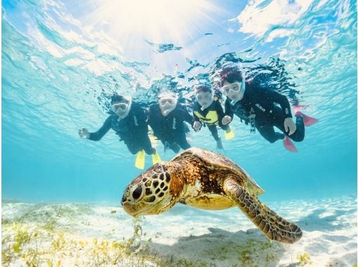 【春休み・GW先取り】宮古島ウミガメシュノーケル《ファミリー・学生》★5歳〜大人まで★高画質写真・動画無料＆手ぶらで参加の画像