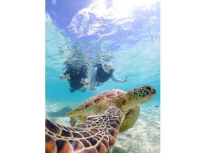 Miyakojima《100% encounter rate》Beginners welcome! [Sea Turtle & Tropical Fish & Coral Snorkel] Smiling staff⭐️Full money back guarantee⭐️Free rental and photos!の画像