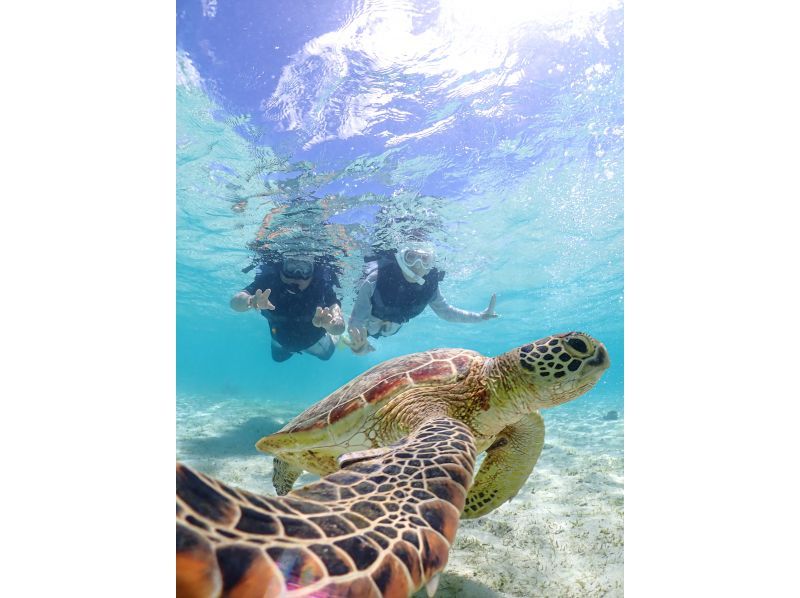 Miyakojima "100% encounter rate" Best value for money! [Sea turtles, tropical fish, and coral snorkeling] Smiling staff ⭐️ Full refund guarantee ⭐️ Free rental and photos!の紹介画像