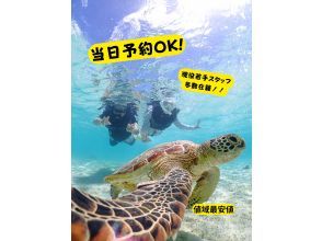 宮古島《コスパ最強》【ウミガメシュノーケル】当日予約OK!ファミリー大歓迎！泳ぎレクチャーあり！レンタル・写真無料！の画像