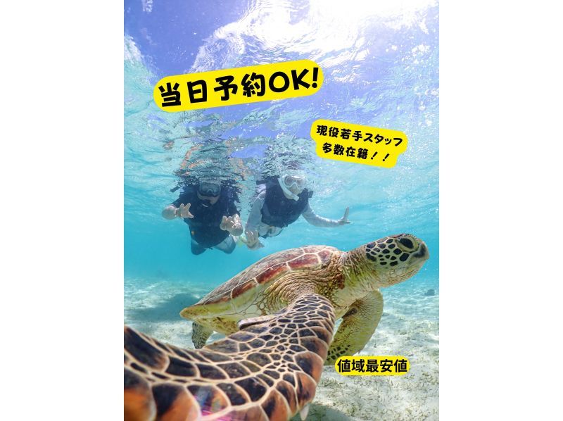 미야코지마《코스파 최강》【우미가메슈노켈】당일 예약 OK!패밀리 대환영!の紹介画像