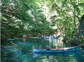 【青森・十和田湖】世界最大の二重カルデラ湖「十和田湖」ボート＆カヌーツアー！イトムカの入り江へ♪の画像