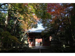 [Osaka/Takatsuki] Shogi license tour! Experience the charm of shogi and Japanese culture at “Shogi Town Takatsuki”! ! <1 night and 2 days, Saturday, December 2nd night>