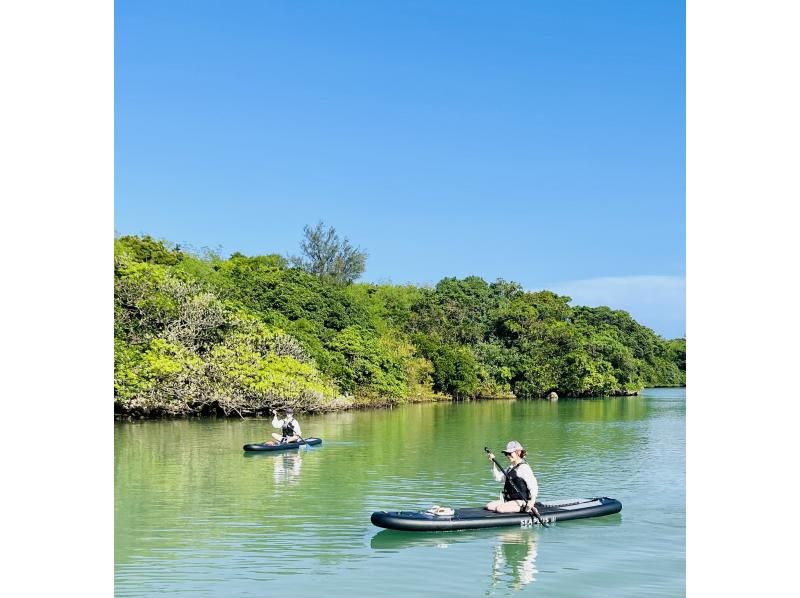 【沖縄・宮古島】マングローブ・サンセットSUPクルージング！約7000坪の椰子の森からマングローブを抜けてサンセットビーチへの紹介画像