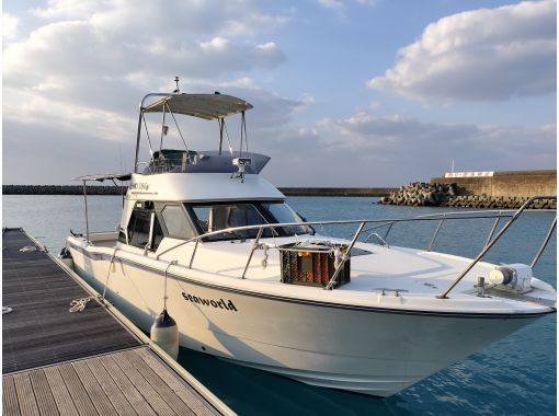 [Okinawa, Itoman] Cruiser charter (charter) boat fishing experience for 2 hours / equipment included / extension possibleの画像