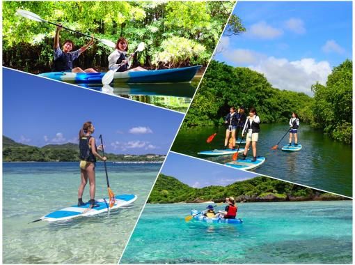 [Ishigaki Island/1 day] Conquer the popular spots of Ishigaki Island! Choose from SUP or canoeing in Kabira Bay and the mangroves that are a natural monument. Free pick-up and drop-off and photo data!の画像