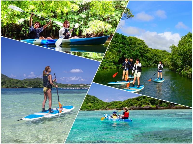 SALE! [Ishigaki Island/1 day] Conquer Ishigaki Island's popular spots! Choose from SUP/canoeing in Kabira Bay and the natural monument mangrove ★ Free pick-up and drop-off/photo data!の紹介画像