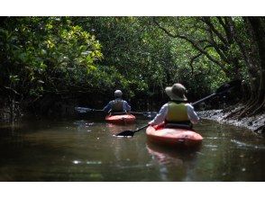 เอเวอร์กรีน อามามิ