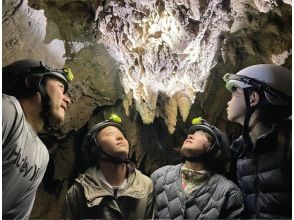西表島コモレビトリップの割引プラン
