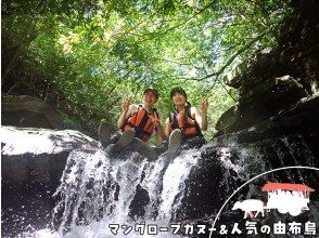 SALE！【沖縄・西表島】人気の由布島観光とジャングル探検！カヌー＆トレッキングで滝壺を目指そう！（昼食＆おやつ付）