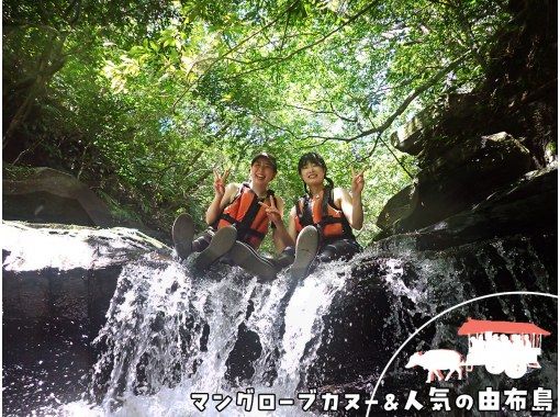 【沖縄・西表島】人気の由布島観光とジャングル探検！カヌー＆トレッキングで滝壺を目指そう！（昼食＆おやつ付）の画像