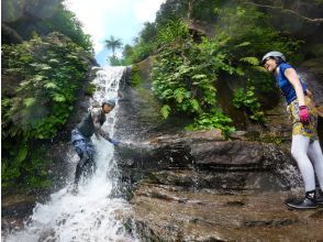 【沖縄・西表島】秘境ゲーダの滝へシャワークライミングでジャングルを奥深くまで探検＆人気のマングローブカヌー！（昼食＆おやつ付）の画像
