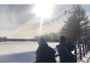 [Hokkaido/Tsurui Village] Winter scenery ~ Wonderful winter scenery with red-crowned cranes "Tsurui Village and the wonderful winter scenery around it" Information on recommended points around Tsurui Village
