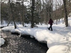 【北海道・釧路湿原】Walk in snowshoe～スノーシュー体験「村田公園、北斗遺跡、サルボ ・サルルン展望台の画像