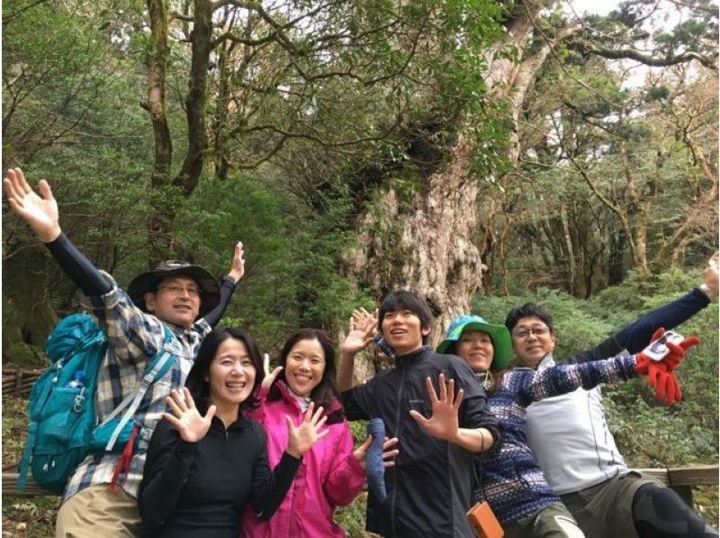 【鹿児島・屋久島】日帰りトレッキング「縄文杉コース」グループ割引あり!8才から参加OK!