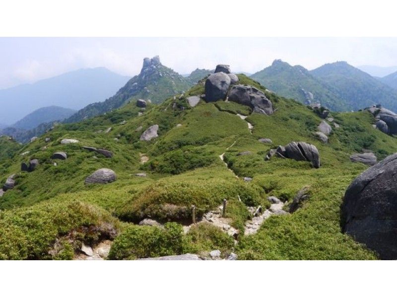 【鹿児島・屋久島】トレッキング体験「宮之浦岳登山コース」グループ割引あり！１２才から参加OK！