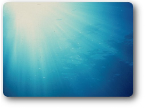 【鹿児島・奄美大島】ビビりに優しいダイビング体験への入口！海中世界を感じる特別な時間「水中瞑想」の画像