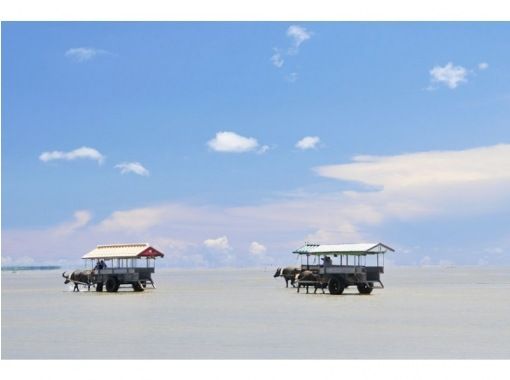 【1番人気の3島めぐり】西表･由布･竹富3島めぐり　竹富島でフリーウォーク＜7時間～／昼食付／R-2W＞の画像