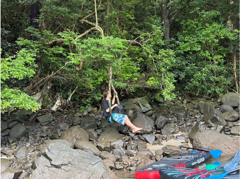 [Private charter & transportation included] Anbo River SUP Stand up paddle boat on the Anbo River, one of the largest rivers in Yakushimaの紹介画像