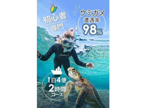 【ウェットスーツ無料】ウミガメ大接近シュノーケリング｜シャワー・着替え完備で快適体験｜写真、動画は即お渡し｜【返金保証付き】の画像